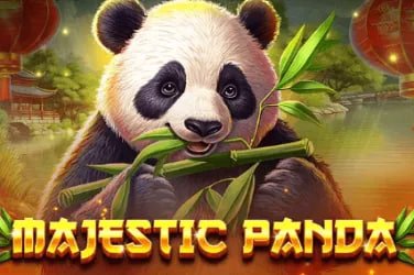 Live casino dealer games and slot online categories on 7games app